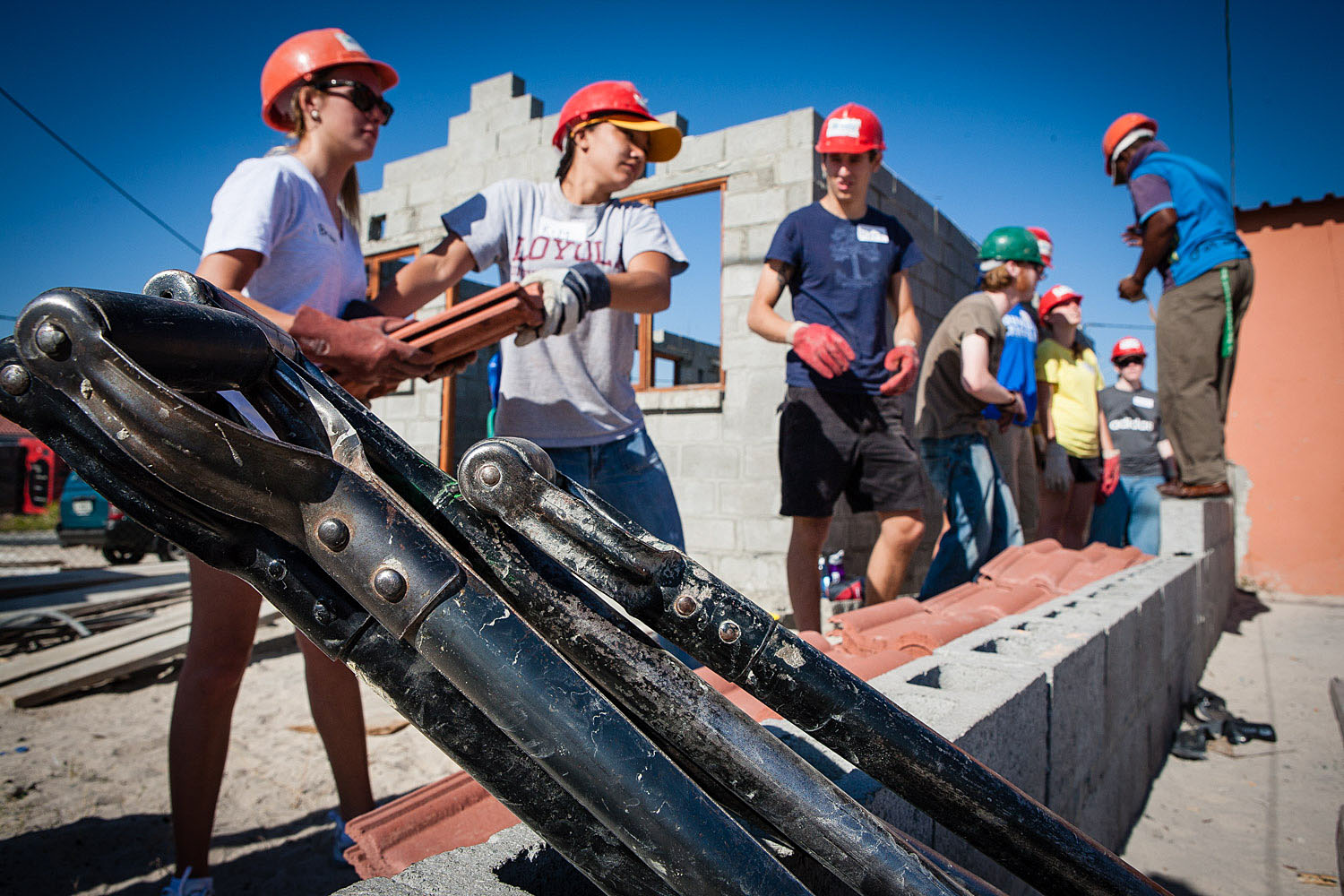 JDB_SA_Habitat_052.JPG