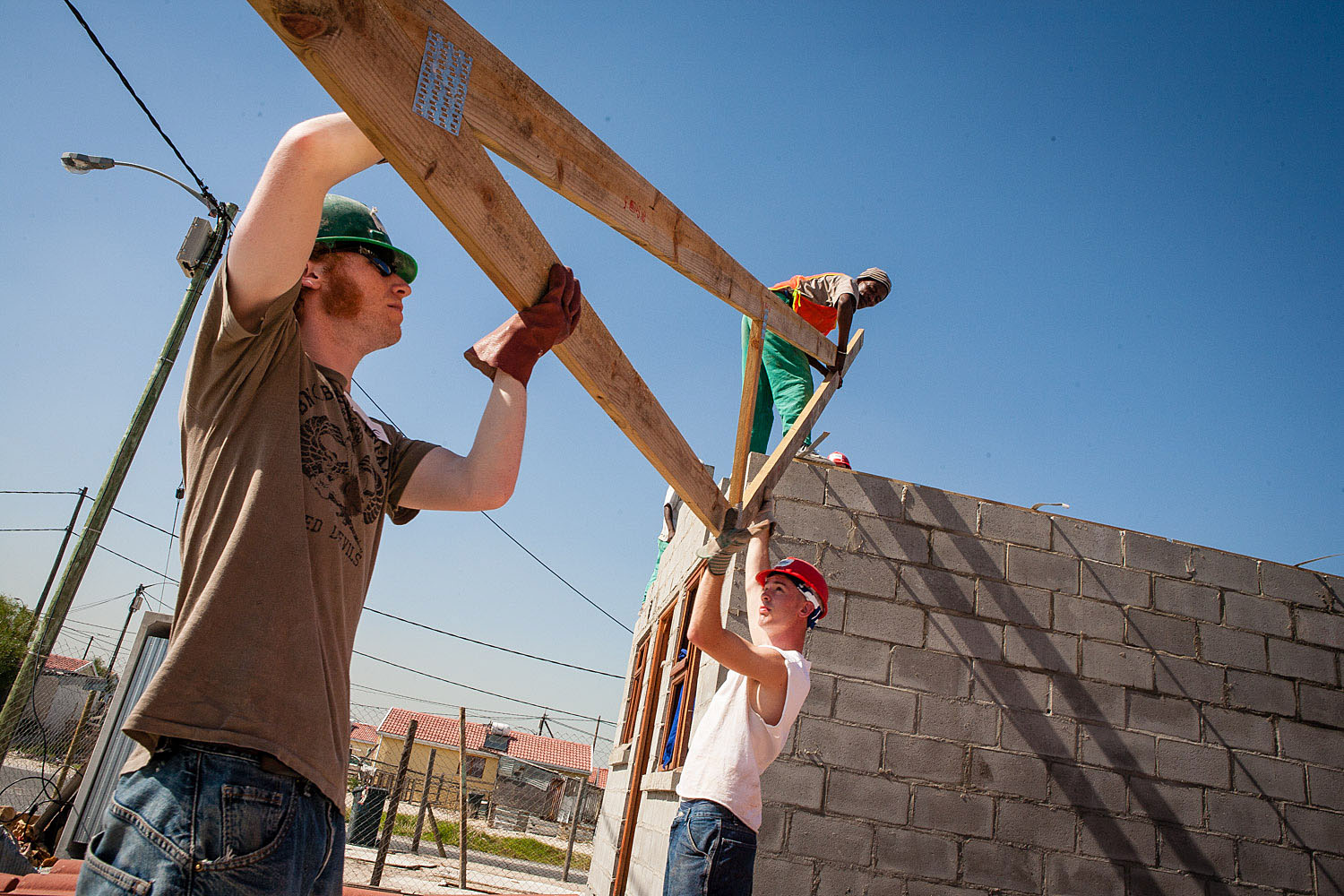 JDB_SA_Habitat_099.JPG